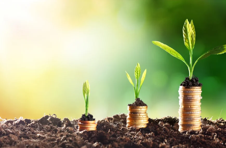 Transform Your Business with Apollo IT Institute’s Digital Marketing Services